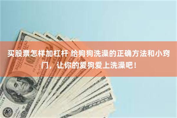 买股票怎样加杠杆 给狗狗洗澡的正确方法和小窍门，让你的爱狗爱上洗澡吧！