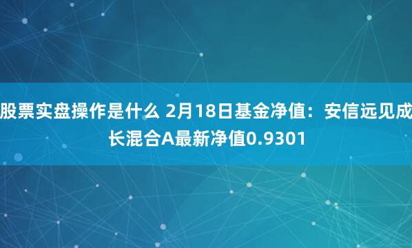 股票实盘操作是什么 2月18日基金净值:安信远见成长混合A最新净值0.9301