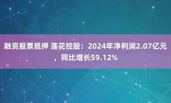 融资股票抵押 莲花控股：2024年净利润2.07亿元，同比增长59.12%