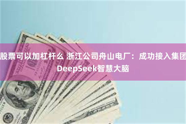 股票可以加杠杆么 浙江公司舟山电厂:成功接入集团DeepSeek智慧大脑