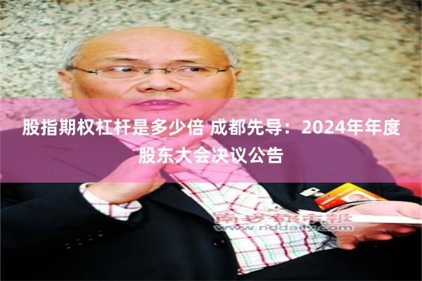 股指期权杠杆是多少倍 成都先导：2024年年度股东大会决议公告