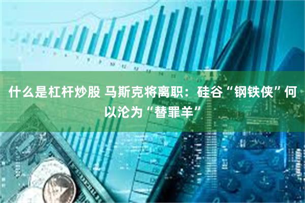 什么是杠杆炒股 马斯克将离职：硅谷“钢铁侠”何以沦为“替罪羊”
