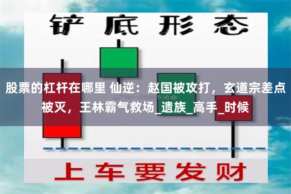 股票的杠杆在哪里 仙逆：赵国被攻打，玄道宗差点被灭，王林霸气救场_遗族_高手_时候