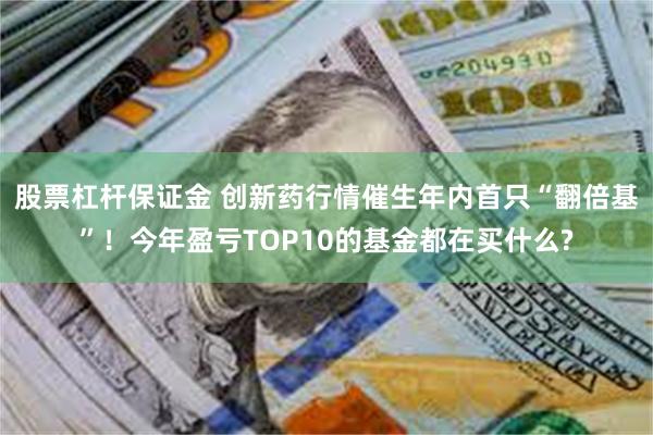 股票杠杆保证金 创新药行情催生年内首只“翻倍基”！今年盈亏TOP10的基金都在买什么?
