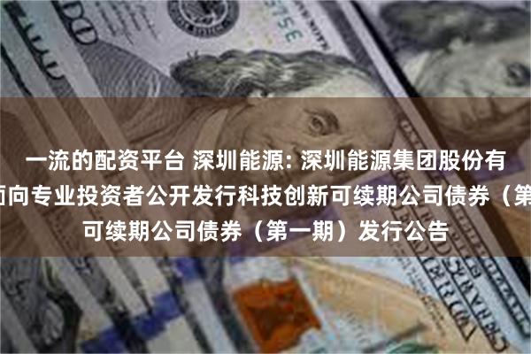 一流的配资平台 深圳能源: 深圳能源集团股份有限公司2025年面向专业投资者公开发行科技创新可续期公司债券(第一期)发行公告
