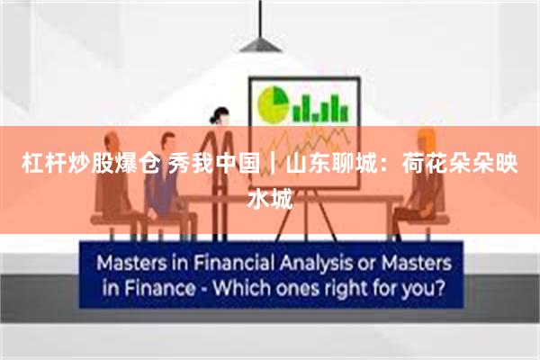 杠杆炒股爆仓 秀我中国｜山东聊城：荷花朵朵映水城