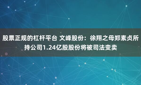 股票正规的杠杆平台 文峰股份：徐翔之母郑素贞所持公司1.24亿股股份将被司法变卖