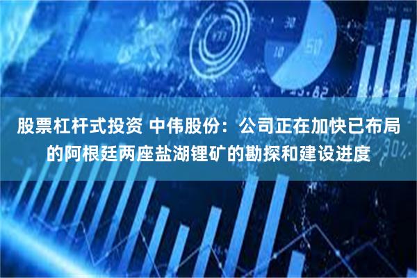 股票杠杆式投资 中伟股份：公司正在加快已布局的阿根廷两座盐湖锂矿的勘探和建设进度