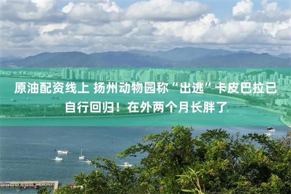原油配资线上 扬州动物园称“出逃”卡皮巴拉已自行回归！在外两个月长胖了