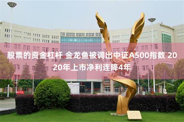 股票的资金杠杆 金龙鱼被调出中证A500指数 2020年上市净利连降4年