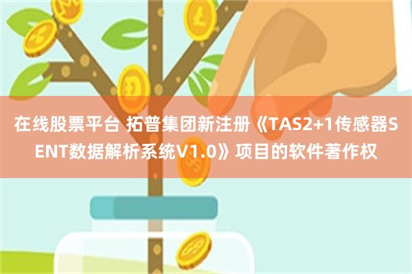 在线股票平台 拓普集团新注册《TAS2+1传感器SENT数据解析系统V1.0》项目的软件著作权