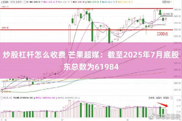 炒股杠杆怎么收费 芒果超媒：截至2025年7月底股东总数为61984