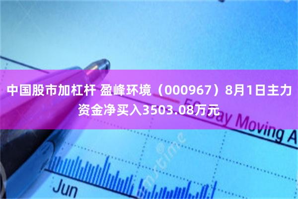 中国股市加杠杆 盈峰环境（000967）8月1日主力资金净买入3503.08万元