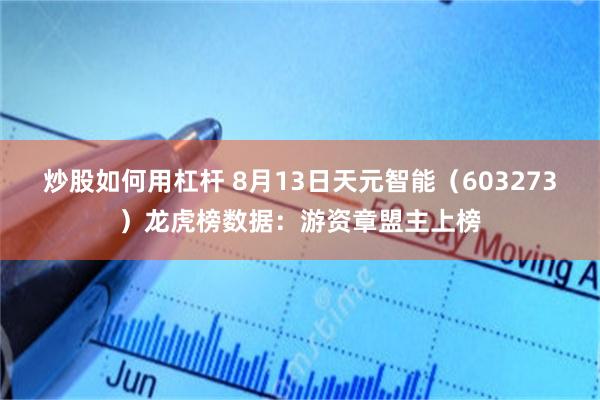 炒股如何用杠杆 8月13日天元智能（603273）龙虎榜数据：游资章盟主上榜