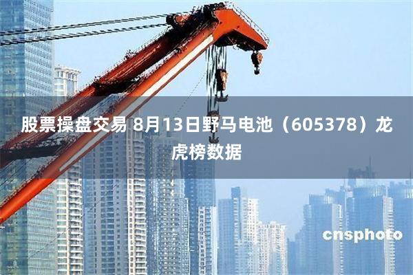 股票操盘交易 8月13日野马电池（605378）龙虎榜数据