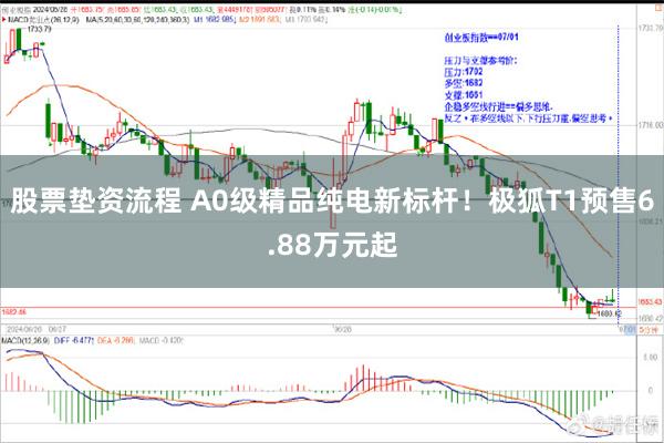 股票垫资流程 A0级精品纯电新标杆！极狐T1预售6.88万元起