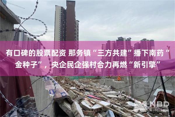 有口碑的股票配资 那务镇“三方共建”播下南药“金种子”，央企民企强村合力再燃“新引擎”