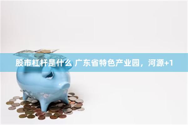 股市杠杆是什么 广东省特色产业园，河源+1