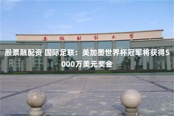股票融配资 国际足联：美加墨世界杯冠军将获得5000万美元奖金