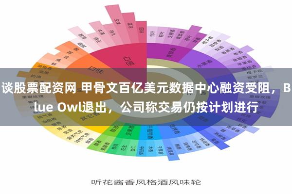 谈股票配资网 甲骨文百亿美元数据中心融资受阻，Blue Owl退出，公司称交易仍按计划进行