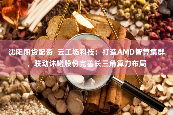 沈阳期货配资  云工场科技：打造AMD智算集群，联动沐曦股份完善长三角算力布局