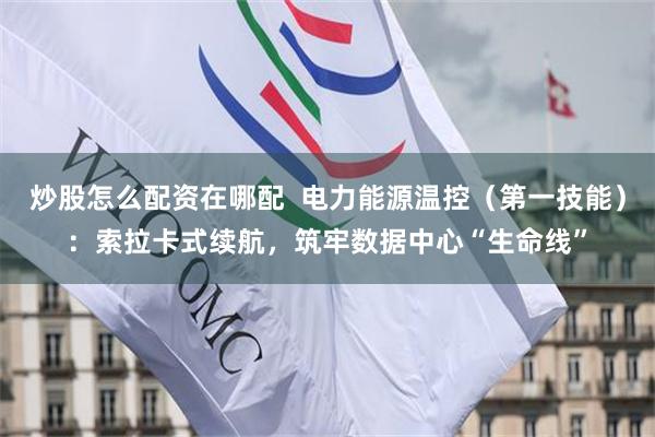 炒股怎么配资在哪配  电力能源温控（第一技能）：索拉卡式续航，筑牢数据中心“生命线”