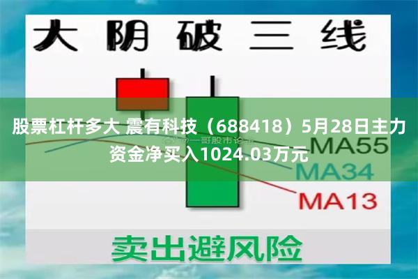 股票杠杆多大 震有科技（688418）5月28日主力资金净买入1024.03万元