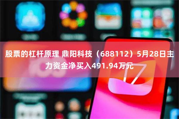股票的杠杆原理 鼎阳科技（688112）5月28日主力资金净买入491.94万元