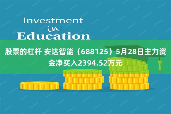 股票的杠杆 安达智能（688125）5月28日主力资金净买入2394.52万元