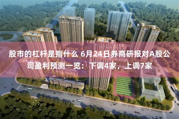 股市的杠杆是指什么 6月24日券商研报对A股公司盈利预测一览：下调4家，上调7家