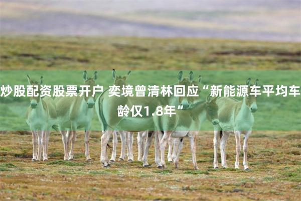 炒股配资股票开户 奕境曾清林回应“新能源车平均车龄仅1.8年”
