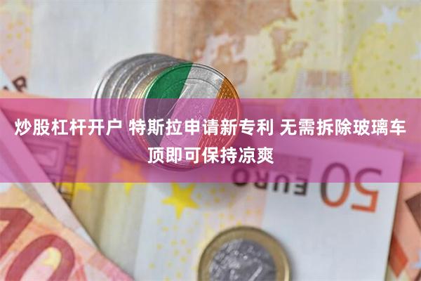 炒股杠杆开户 特斯拉申请新专利 无需拆除玻璃车顶即可保持凉爽