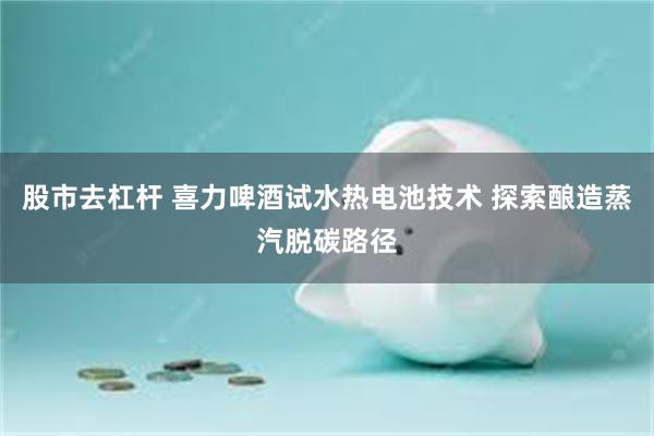 股市去杠杆 喜力啤酒试水热电池技术 探索酿造蒸汽脱碳路径
