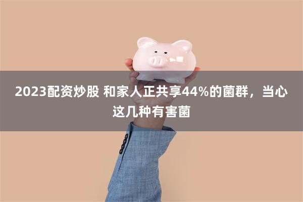2023配资炒股 和家人正共享44%的菌群，当心这几种有害菌