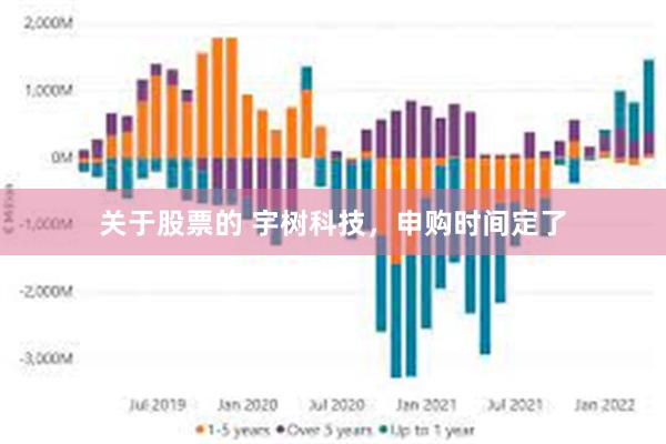 关于股票的 宇树科技，申购时间定了