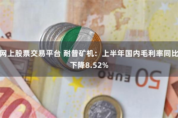 网上股票交易平台 耐普矿机：上半年国内毛利率同比下降8.52%