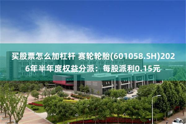 买股票怎么加杠杆 赛轮轮胎(601058.SH)2026年半年度权益分派：每股派利0.15元