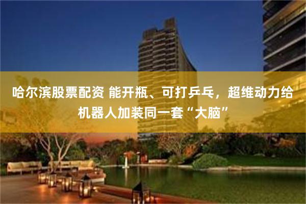 哈尔滨股票配资 能开瓶、可打乒乓，超维动力给机器人加装同一套“大脑”