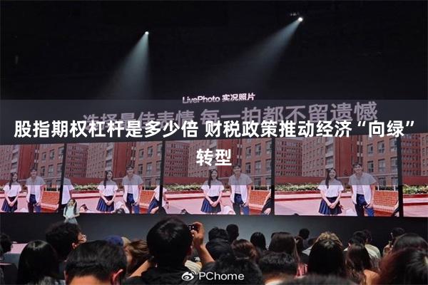 股指期权杠杆是多少倍 财税政策推动经济“向绿”转型