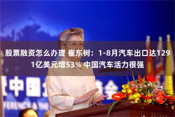 股票融资怎么办理 崔东树：1-8月汽车出口达1291亿美元增53% 中国汽车活力很强