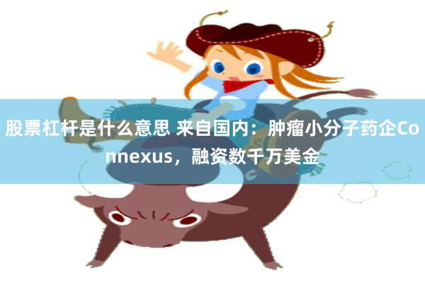 股票杠杆是什么意思 来自国内：肿瘤小分子药企Connexus，融资数千万美金