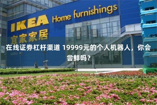 在线证劵杠杆渠道 19999元的个人机器人，你会尝鲜吗？