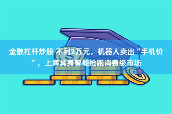 金融杠杆炒股 不到2万元,机器人卖出“手机价”,上海具身智能抢跑消费级市场